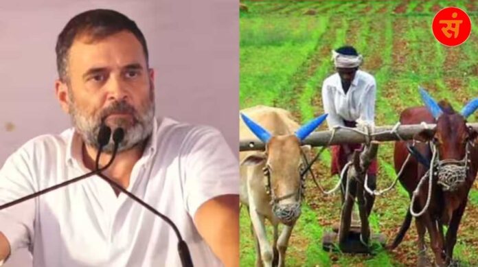 rahul gandhi and farmar shetkari